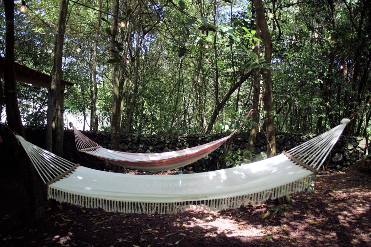 Azores Casa Da Mata Wellness Spa São Vicente Ferreira Esterno foto